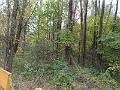 DSCF2870