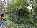 DSCF2885
