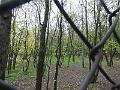DSCF2887