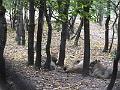 DSCF2890