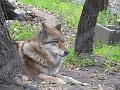 DSCF2905