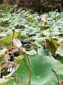 IMG_20221031_122453
