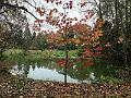 IMG_20221031_122938