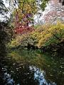 IMG_20221031_123222