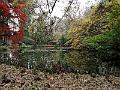 IMG_20221031_124233