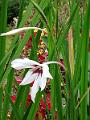 IMG_20221031_130422