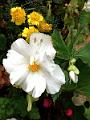IMG_20221031_130520