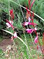 IMG_20221031_130615
