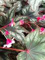 IMG_20221031_132357