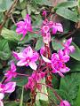 IMG_20221031_133209