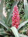 IMG_20221031_133235