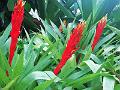 IMG_20221031_133518