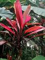 IMG_20221031_134417