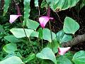 IMG_20221031_135408