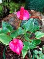 IMG_20221031_135421
