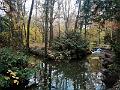 IMG_20221031_140547
