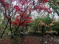 IMG_20221031_142306