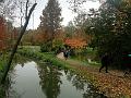 IMG_20221031_142432