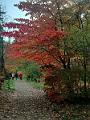 IMG_20221031_142606