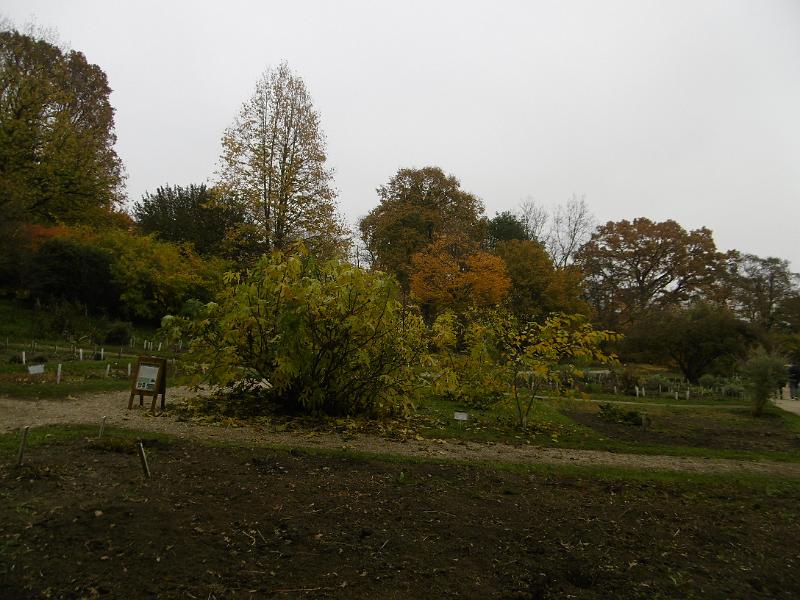 P3340590.JPG