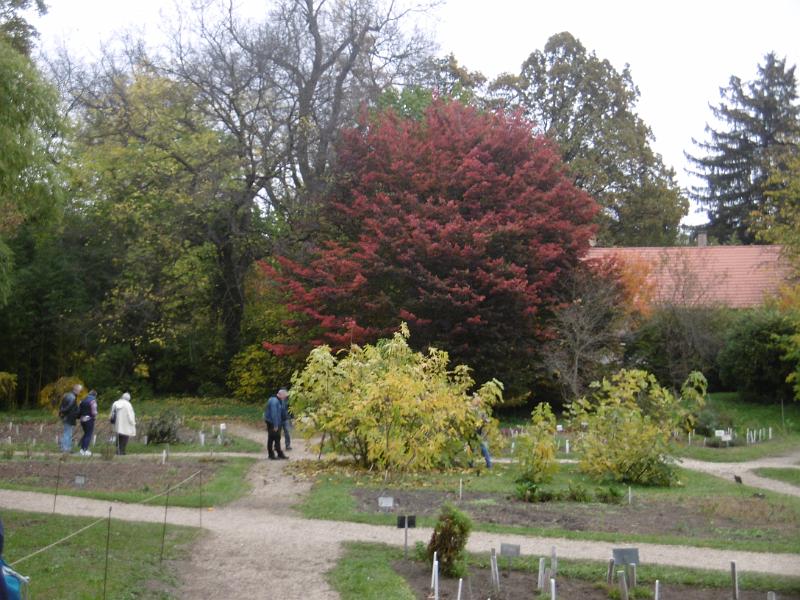 P3340593.JPG