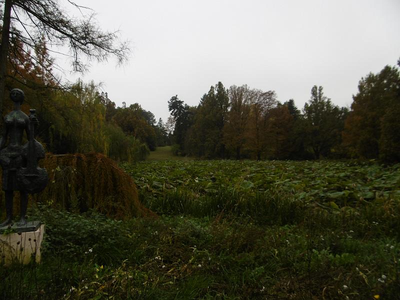 P3340603.JPG