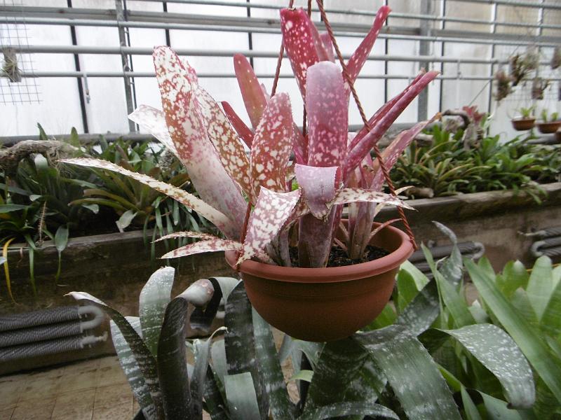 P3340642.JPG