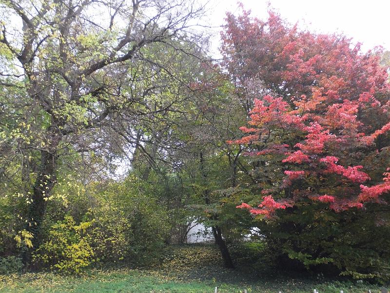 DSCF2952.JPG