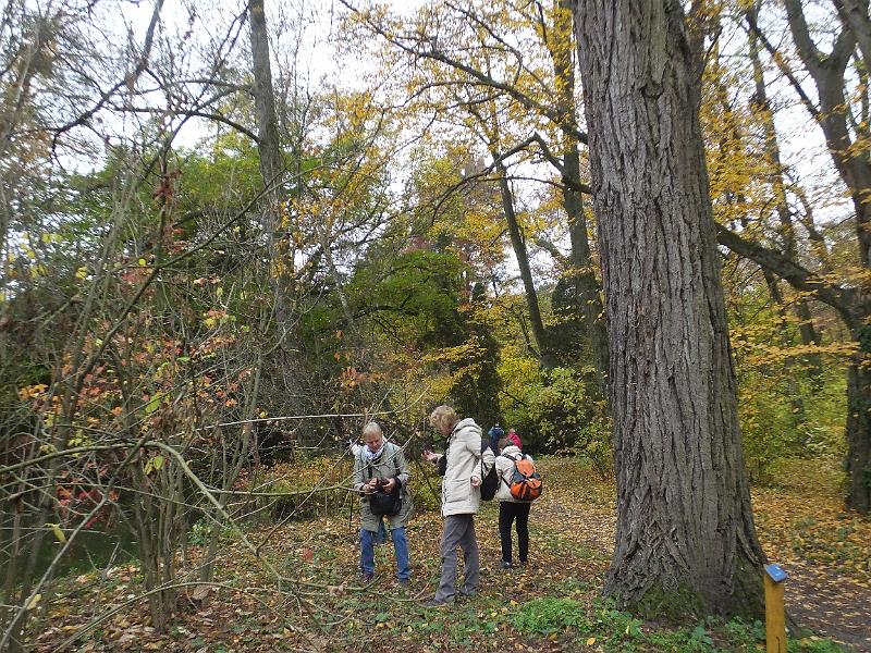 DSCF2973.JPG