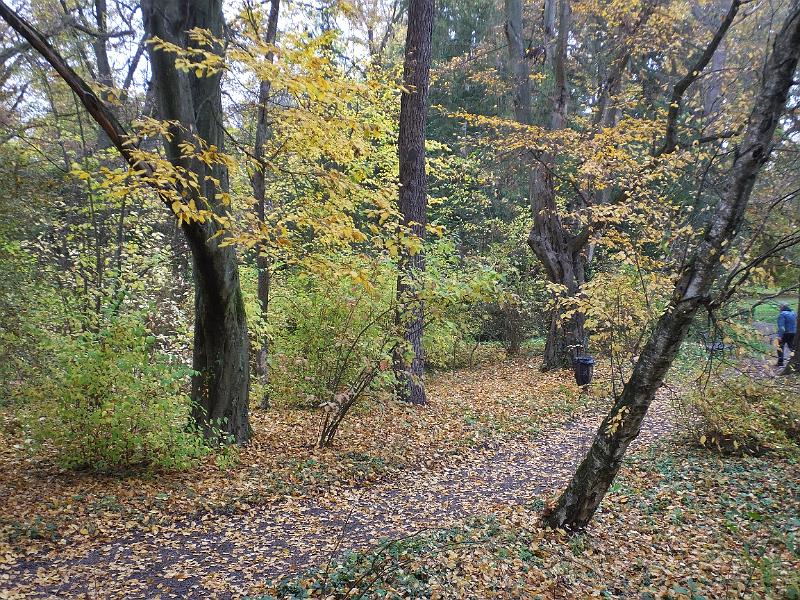 DSCF2977.JPG