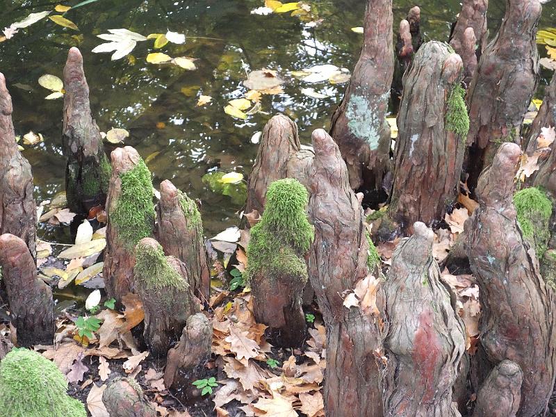 DSCF2981.JPG