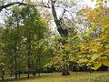 DSCF2951