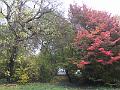 DSCF2952