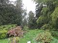 DSCF2954