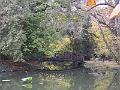 DSCF2971
