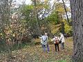 DSCF2974