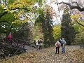 DSCF2976