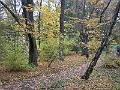 DSCF2977