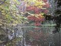 DSCF2978