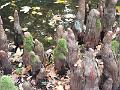 DSCF2981
