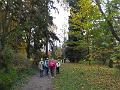 DSCF2984