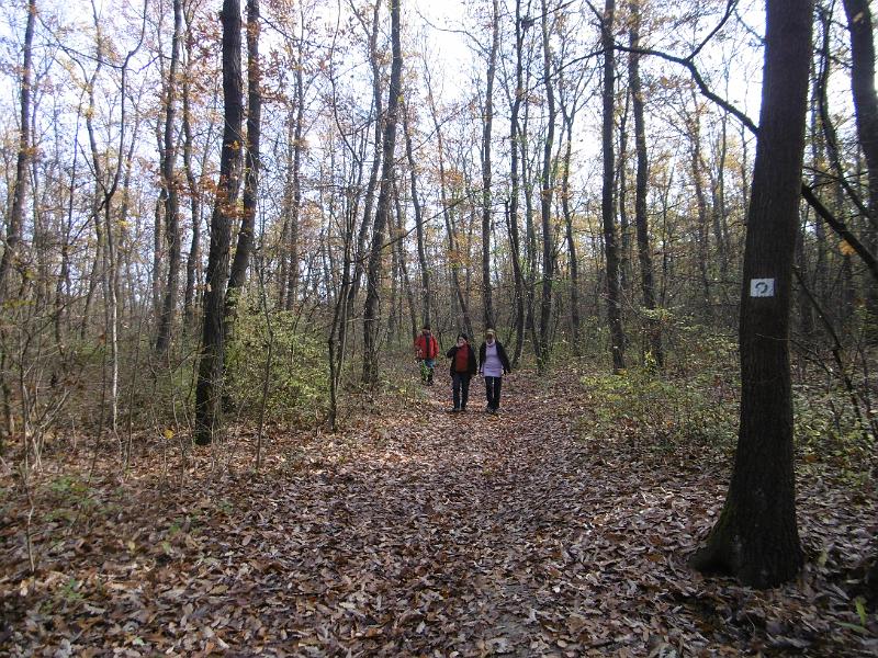 P3340702.JPG