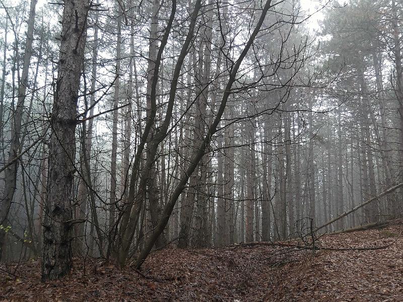 20221126_104126.jpg