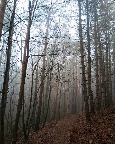 20221126_110136.jpg