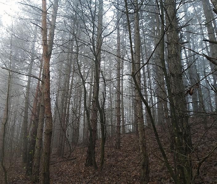 20221126_110214.jpg