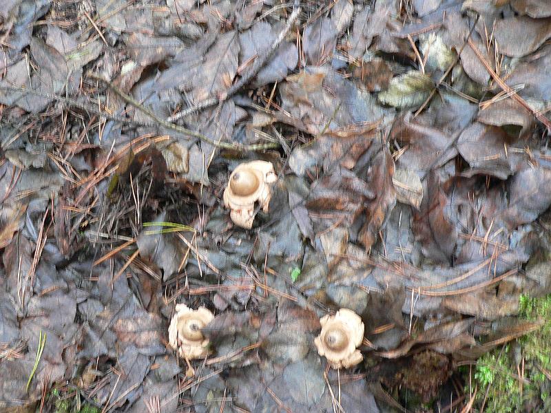 P1070745.JPG
