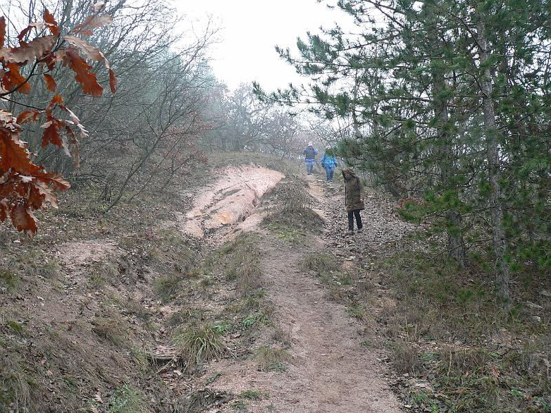 P1070757.JPG