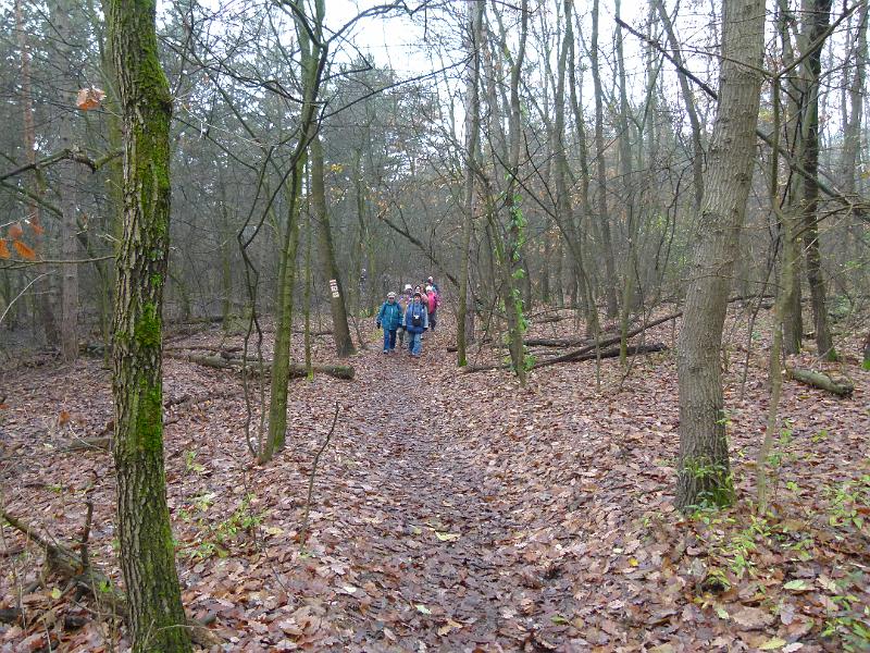 L1420777.JPG
