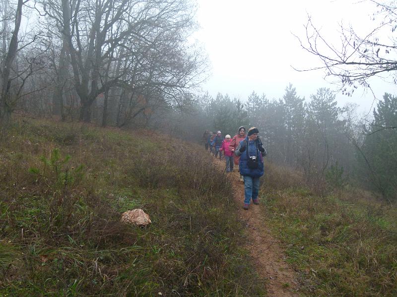 L1420800.JPG