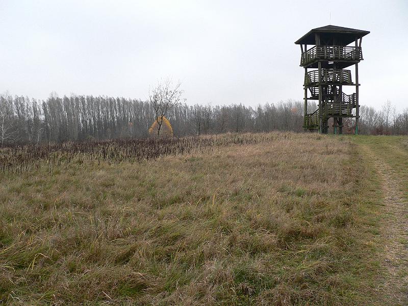 P1070785.JPG